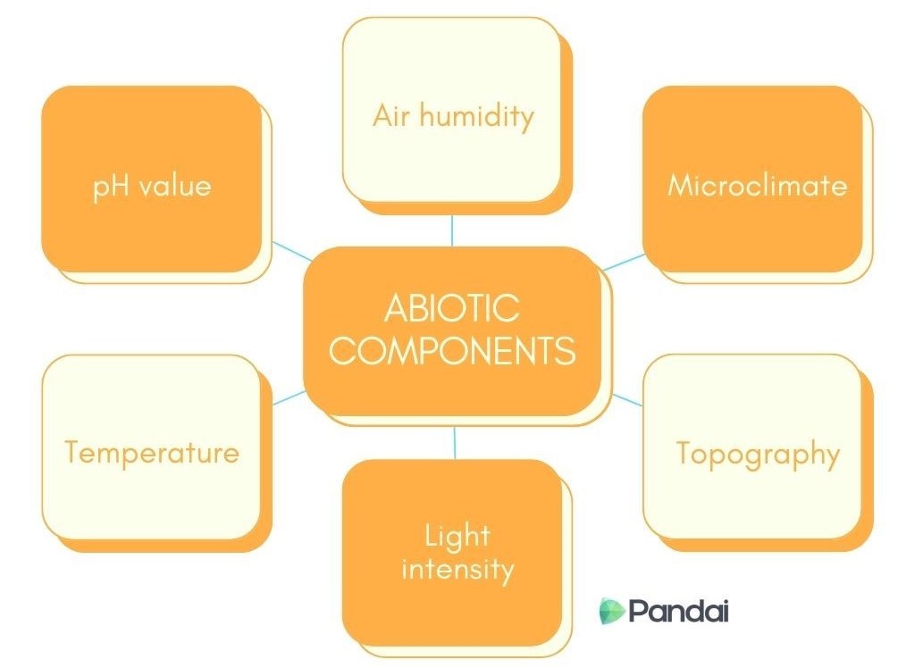 This image is a diagram titled ‘ABIOTIC COMPONENTS.’ It features a central box with the title, connected to six surrounding boxes. The surrounding boxes are labeled: ‘pH value,’ ‘Temperature,’ ‘Light intensity,’ ‘Topography,’ ‘Microclimate,’ and ‘Air humidity.’ The boxes are connected by lines to the central box, indicating that these components are related to abiotic factors. The diagram has an orange and white color scheme and includes the logo ‘Pandai’ at the bottom right corner.