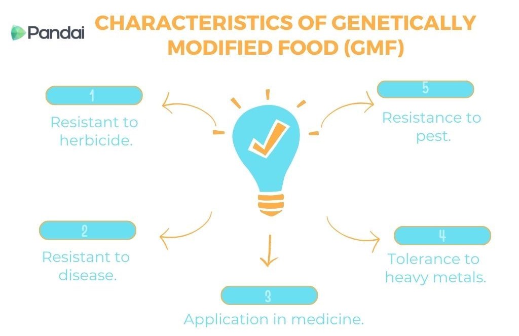 This image is an infographic titled ‘CHARACTERISTICS OF GENETICALLY MODIFIED FOOD (GMF).’ It is designed with a light bulb icon in the center, symbolizing ideas or innovations. Around the light bulb, there are five characteristics of GMF, each within its own box and connected by arrows in a circular flow. The characteristics are: 1. Resistant to herbicide. 2. Resistant to disease. 3. Application in medicine. 4. Tolerance to heavy metals. 5. Resistance to pest. The infographic uses a light color palette, primarily blue and orange. The Pandai logo is at the top left corner.