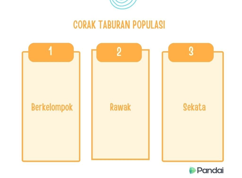 Imej ini menunjukkan carta dengan tajuk ‘Corak Taburan Populasi’. Terdapat tiga lajur yang masing-masing diberi nombor dan label. Lajur pertama diberi nombor ‘1’ dan berlabel ‘Berkelompok’, lajur kedua diberi nombor ‘2’ dan berlabel ‘Rawak’, dan lajur ketiga diberi nombor ‘3’ dan berlabel ‘Sekata’. Di sudut kanan bawah imej terdapat logo Pandai.