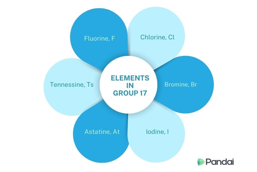 This image shows a diagram of elements in Group 17 of the periodic table, arranged in a flower-like pattern. Each petal represents an element: Fluorine (F), Chlorine (Cl), Bromine (Br), Iodine (I), Astatine (At), and Tennessine (Ts). The center of the flower has a circle labeled ‘ELEMENTS IN GROUP 17.’ The petals are shades of blue, and the Pandai logo is at the bottom right corner.