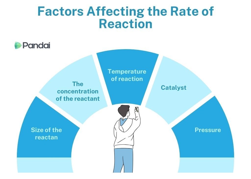 The image is an infographic titled ‘Factors Affecting the Rate of Reaction.’ It features a semi-circular chart with five segments, each labeled with a different factor: ‘The concentration of the reactant’ ‘Size of the reactant,’ ‘Temperature of reaction,’ ‘Catalyst,’ and ‘Pressure’ At the center of the chart is an illustration of a person looking up and pointing. The Pandai logo is present on the left side of the image. The color scheme includes shades of blue and white.