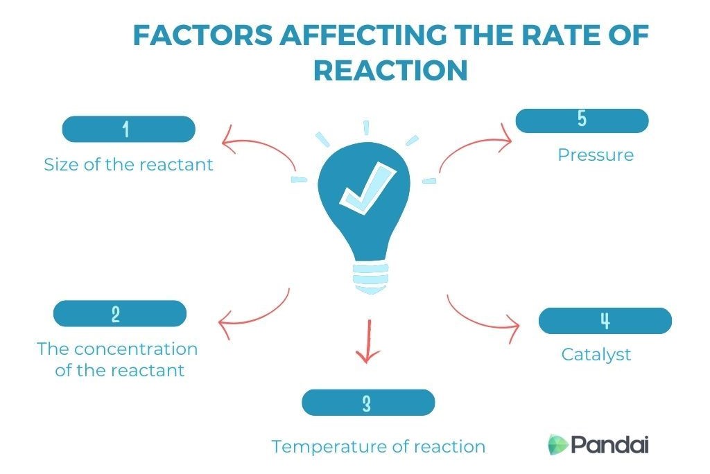 This image is an infographic titled ‘Factors Affecting the Rate of Reaction.’ It features a light bulb icon in the center with a checkmark inside it. Surrounding the light bulb are five factors, each represented by a numbered box with text and connected to the light bulb by arrows. The factors are: 1. Size of the reactant 2. The concentration of the reactant 3. Temperature of reaction 4. Catalyst 5. Pressure The infographic is branded with the ‘Pandai’ logo in the bottom right corner. The overall design uses a blue and white color scheme.