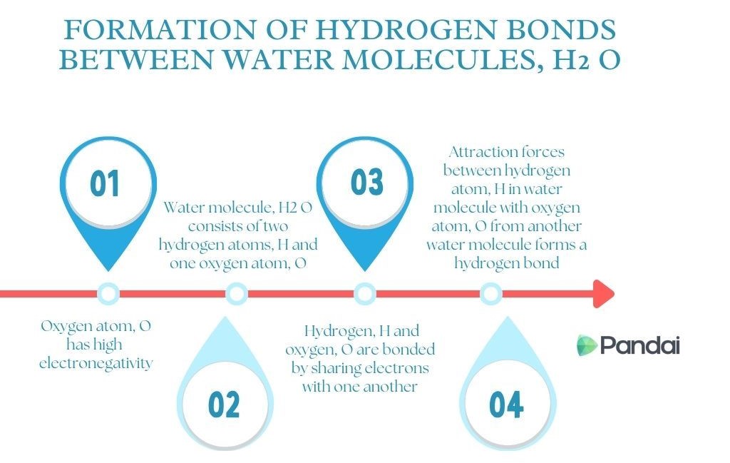 This image illustrates the formation of hydrogen bonds between water molecules (H2O). It is divided into four steps: 1. **Oxygen atom, O, has high electronegativity.** 2. **Water molecule, H2O, consists of two hydrogen atoms, H, and one oxygen atom, O.** 3. **Hydrogen, H, and oxygen, O, are bonded by sharing electrons with one another.** 4. **Attraction forces between hydrogen atom, H, from one water molecule with oxygen atom, O, from another water molecule forms a hydrogen bond.** The image includes a timeline-like layout with blue circles and text, and it is branded with the ‘Pandai’ logo.