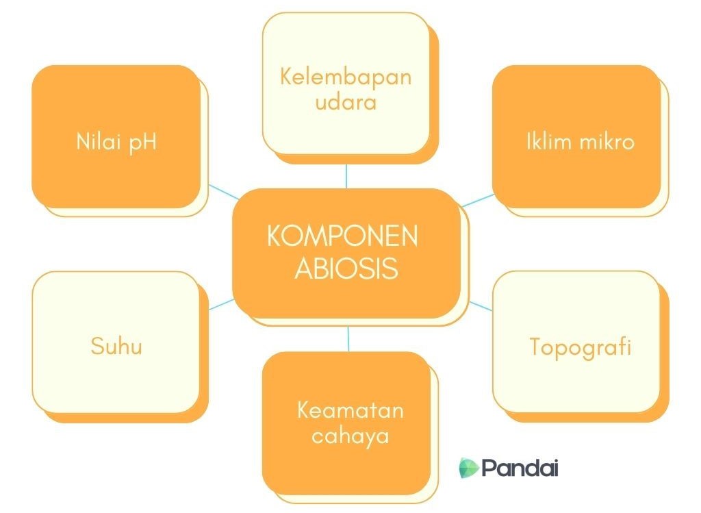 Imej ini menunjukkan peta minda dengan tajuk ‘KOMPONEN ABIOSIS’ di tengah-tengah. Terdapat enam kotak yang mengelilingi kotak tengah, masing-masing mengandungi teks berikut: ‘Kelembapan udara’, ‘Iklim mikro’, ‘Topografi’, ‘Keamatan cahaya’, ‘Suhu’, dan ‘Nilai pH’. Setiap kotak dihubungkan dengan kotak tengah melalui garisan. Di sudut bawah kanan, terdapat logo ‘Pandai’.