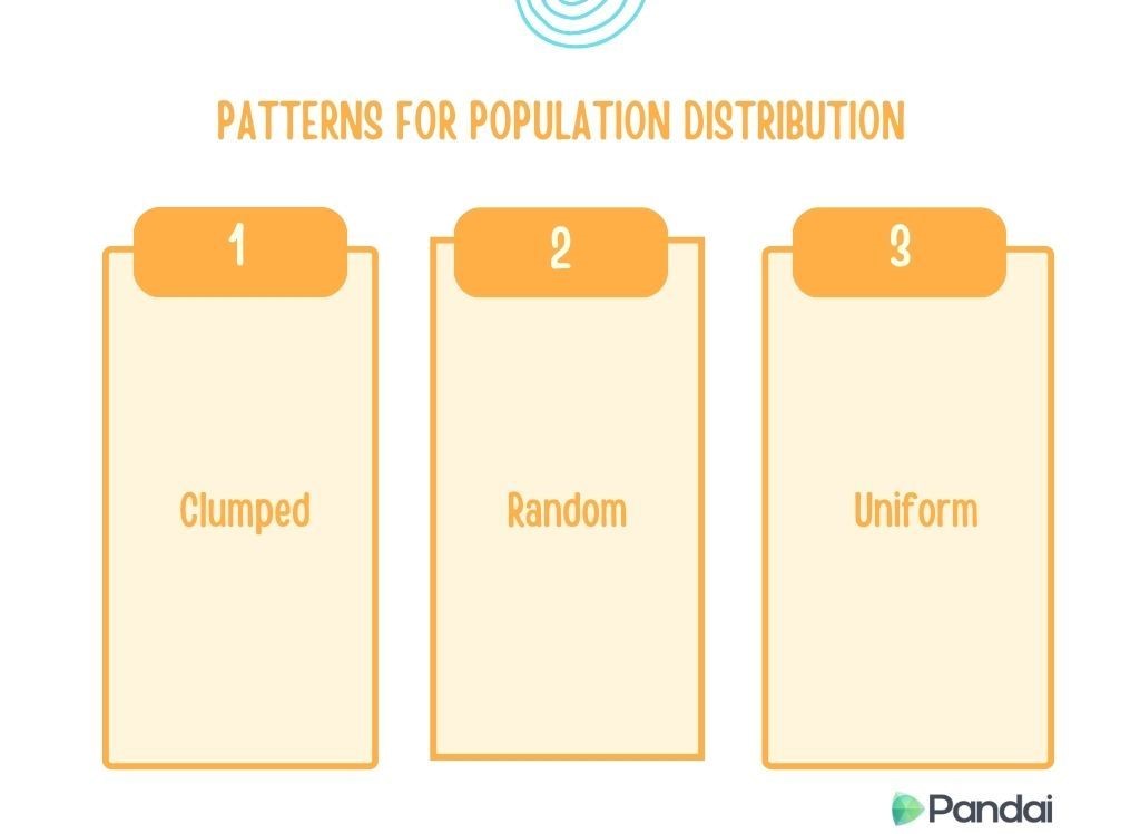 The image is a diagram titled ‘Patterns for Population Distribution.’ It is divided into three sections, each labeled with a number and a type of population distribution. From left to right, the sections are: 1. Clumped 2. Random 3. Uniform Each section has a corresponding orange header with the number and type of distribution written below it. The background is light, and there is a logo at the bottom right corner with the text ‘Pandai.’