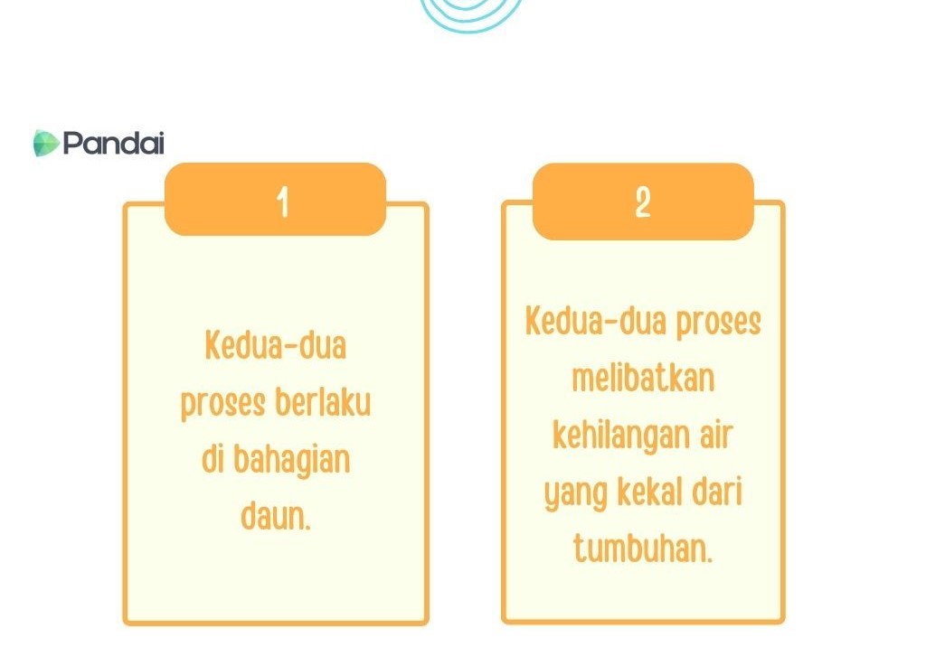 Imej ini menunjukkan dua kotak teks berwarna kuning dengan nombor 1 dan 2 di atasnya. Kotak teks pertama mengandungi teks ‘Kedua-dua proses berlaku di bahagian daun.’ Kotak teks kedua mengandungi teks ‘Kedua-dua proses melibatkan kehilangan air yang kekal dari tumbuhan.