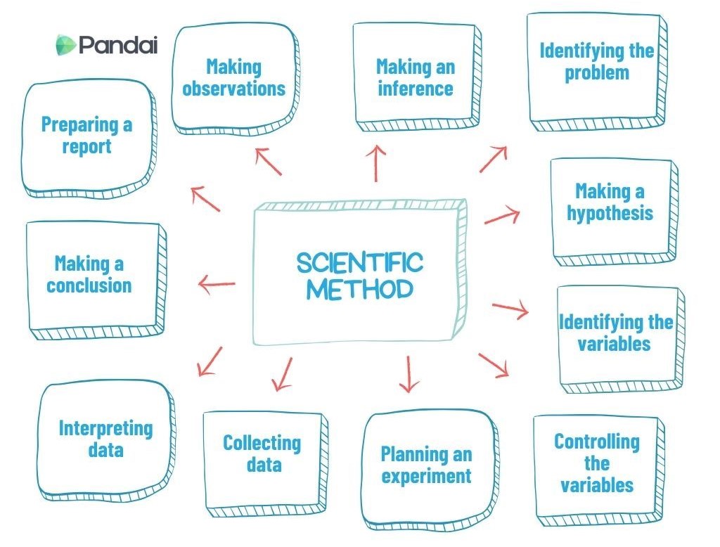 This image illustrates the steps of the scientific method. At the center, ‘SCIENTIFIC METHOD’ is written in blue. Surrounding it are various steps, each in a blue-bordered box with red arrows pointing to and from the central box. The steps include: 1. Making observations 2. Making an inference 3. Identifying the problem 4. Making a hypothesis 5. Identifying the variables 6. Controlling the variables 7. Planning an experiment 8. Collecting data 9. Interpreting data 10. Making a conclusion 11. Preparing a report The Pandai logo is in the top left corner.