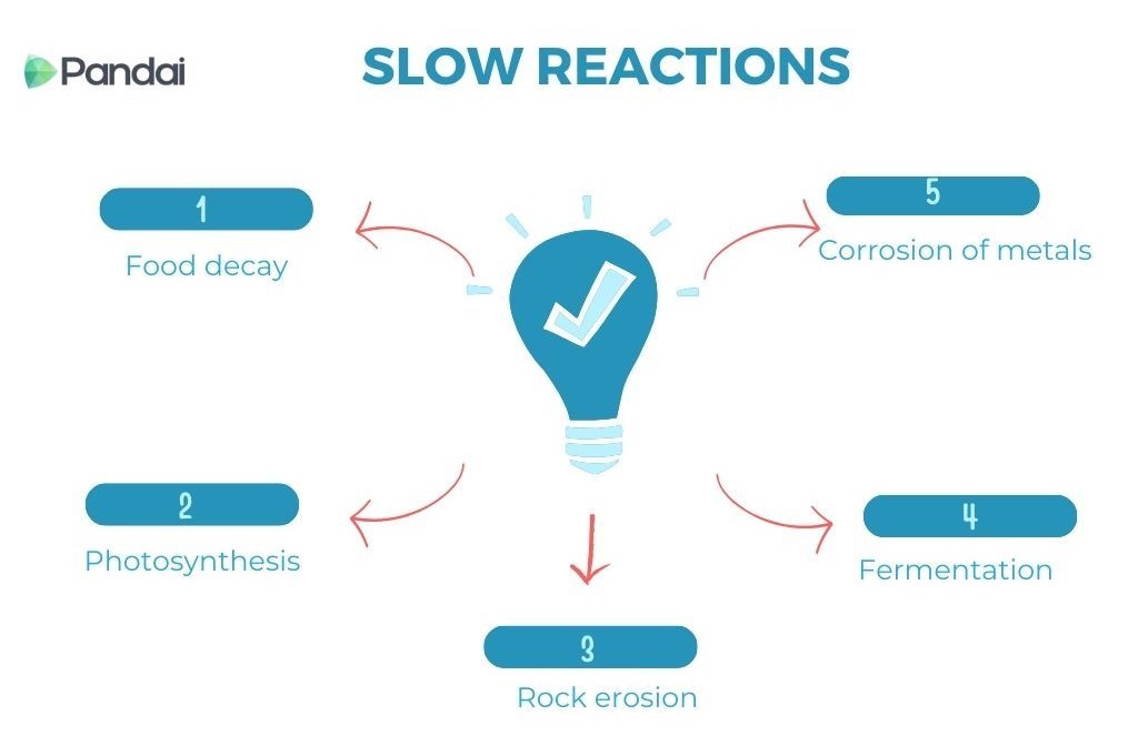 The image is an infographic titled ‘SLOW REACTIONS.’ It features a central light bulb icon with a checkmark inside, surrounded by five labeled processes connected by arrows in a circular flow. The processes are: 1. Food decay 2. Photosynthesis 3. Rock erosion 4. Fermentation 5. Corrosion of metals The background is white, and the text and icons are in shades of blue and red. The logo ‘Pandai’ is at the top left corner.