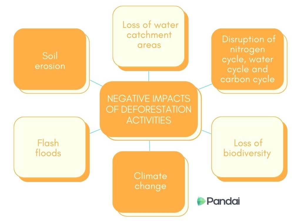 The image is a diagram illustrating the negative impacts of deforestation activities. It is centered around a box labeled ‘NEGATIVE IMPACTS OF DEFORESTATION ACTIVITIES,’ with six surrounding boxes connected to it. The six impacts listed are: 1. Soil erosion 2. Flash floods 3. Climate change 4. Loss of water catchment areas 5. Disruption of nitrogen cycle, water cycle, and carbon cycle 6. Loss of biodiversity The diagram has an orange and yellow color scheme and includes the Pandai logo at the bottom right corner.