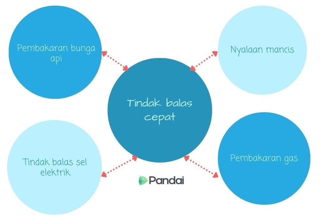 Gambar menunjukkan tindak balas cepat seperti pembakaran bunga api, tindak balas sel elektrik, nyalaan mancis dan pembakaran gas.