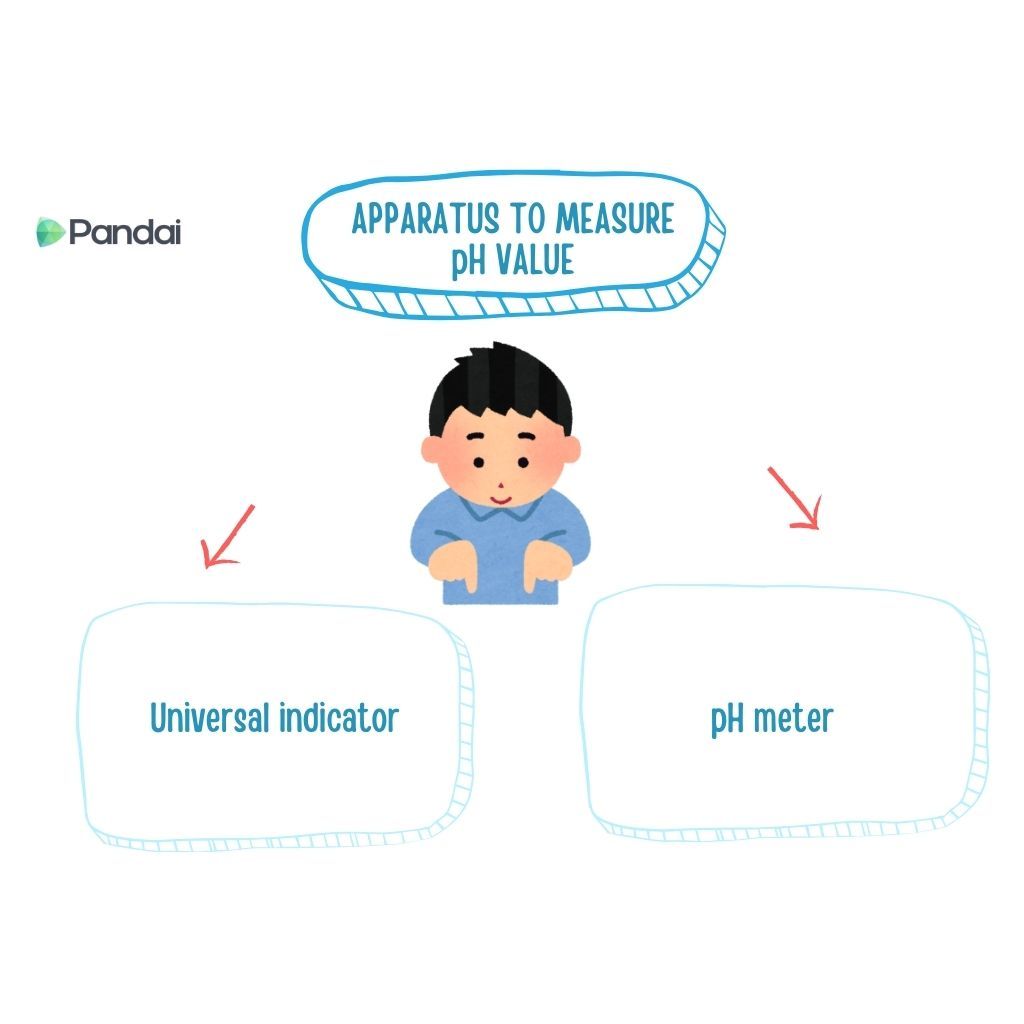 The image features a cartoon illustration of a person with a label above their head that reads ‘Apparatus to Measure pH Value.’ There are two arrows pointing downwards from the label to two boxes. The box on the left is labeled ‘Universal indicator,’ and the box on the right is labeled ‘pH meter.’ The logo ‘Pandai’ is present in the top left corner.