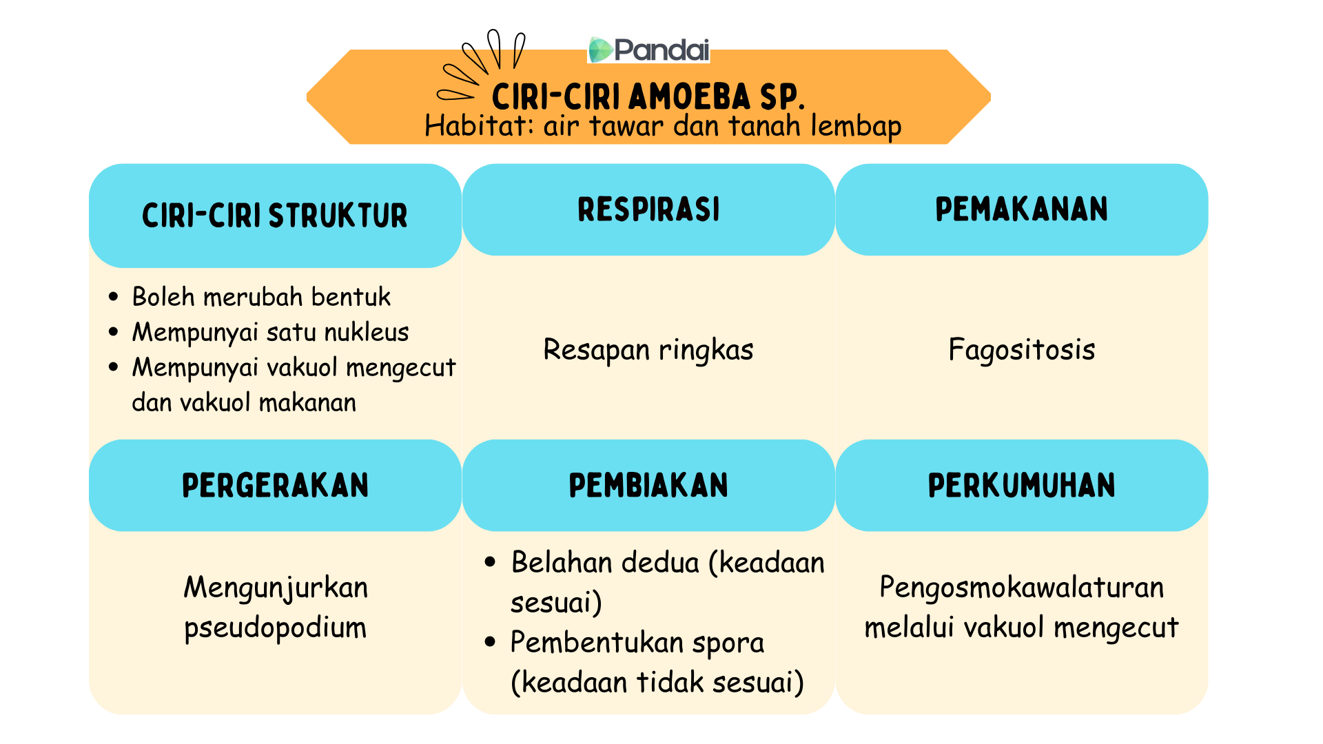 Imej ini ialah carta yang memperincikan ciri-ciri Amoeba sp., yang mendiami air tawar dan tanah lembap. Carta dibahagikan kepada enam kategori: 1. Ciri-ciri Struktur: - Boleh berubah bentuk - Mempunyai satu nukleus - Mempunyai vakuol mengecut dan vakuol makanan 2. Respirasi: - Resapan ringkas3. Pemakanan: - Fagositosis 4. Pergerakan: - Mengunjurkan pseudopodiumnya 5 . Pembiakan: - Pembelahan dedua (keadaan sesuai) - Pembentukan spora (keadaan tidak sesuai) 6. Perkumuhan: - Pengosmokawalaturan melalui vakuol mengecut