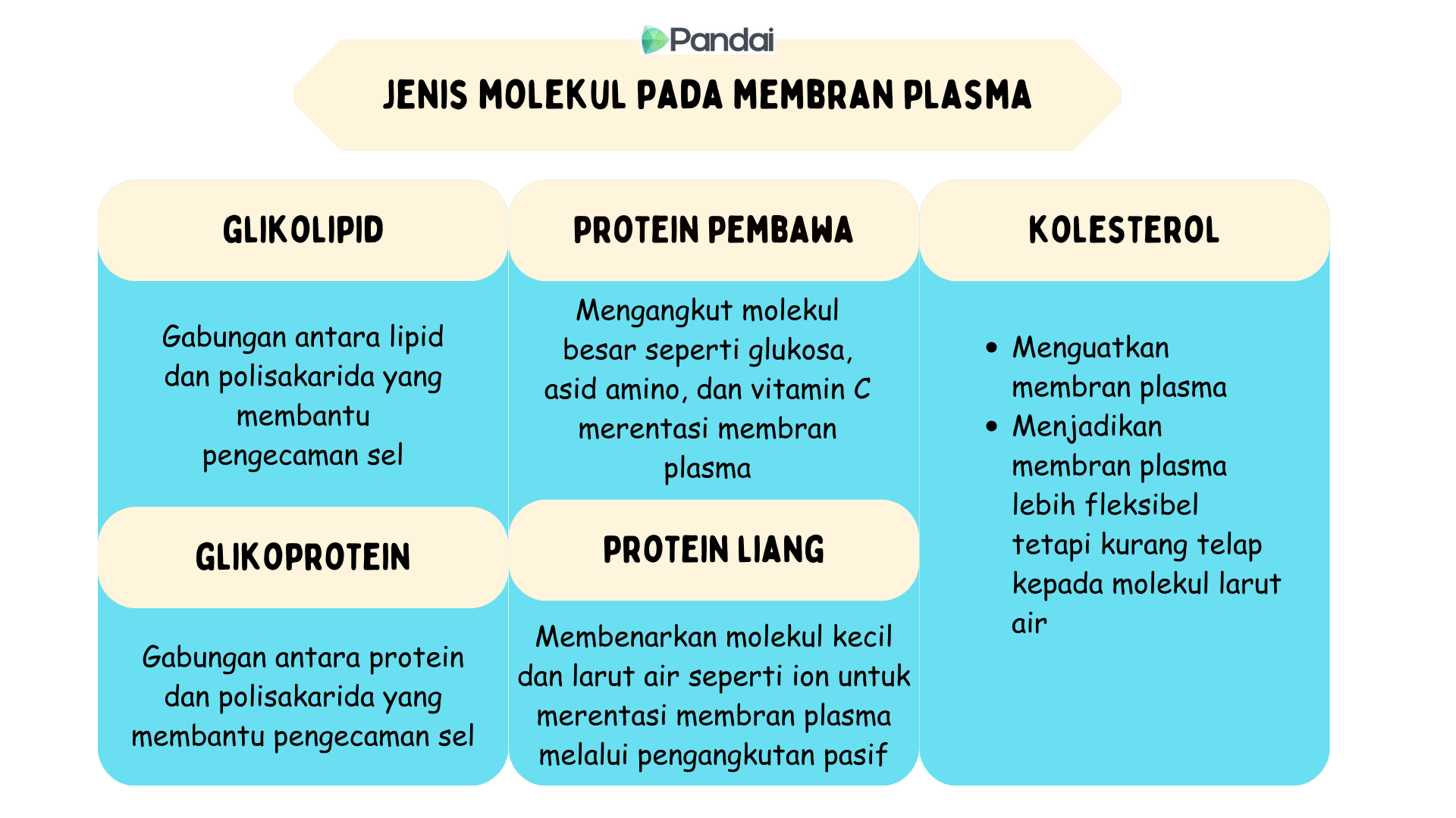 Rajah menunjukkan jenis molekul pada membran plasma iaitu 1. glikolipid - gabungan antara lipid dan polisakarida yang membantu pengecaman sel. 2. protein pembawa - mengangkut molekul besar seperti glukosa, asid amino, dan vitamin C merentasi membran plasma. 3. Kolesterol - menguatkan membrane plasma - menjadikan membran plasma lebih fleksibel tetapi kurang telap pada molekul larut air. 4. Glikoprotein - gabungan antara protein dan polisakarida yang membantu pengecaman sel. 5. protein liang - membenarkan molekul kecil dan larut air seperti ion untuk merentasi membran plasma melalui pengangkutan pasif