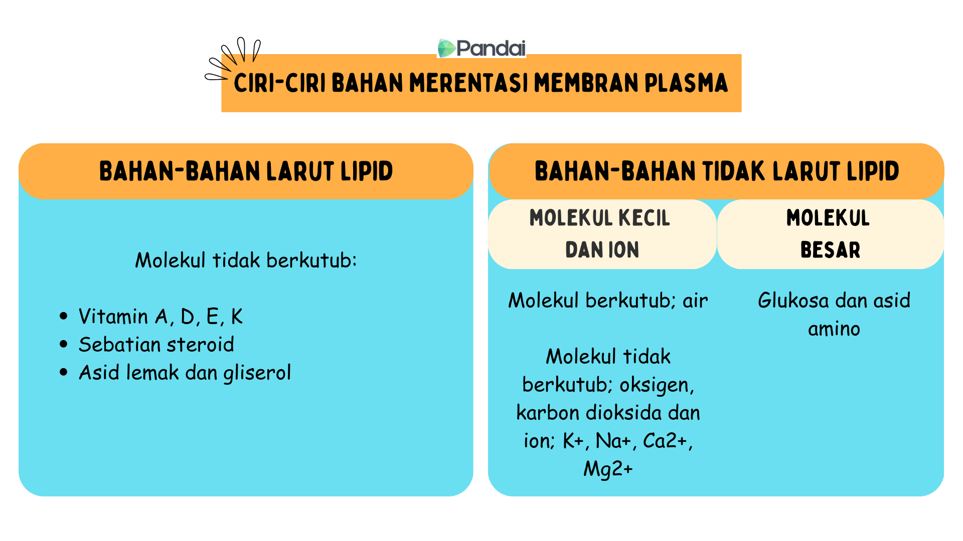 Imej ini ialah gambar rajah bertajuk Ciri-ciri Bahan Merentasi Membran Plasma. Ia terbahagi kepada dua bahagian: 1. Bahan Larut Lipid: - Molekul bukan polar: - Vitamin A, D, E, K - Sebatian steroid - Asid lemak dan gliserol 2. Bahan Tidak Larut Lipid: - Molekul dan Ion Kecil: - Molekul polar: air - Molekul bukan polar: oksigen, karbon dioksida, dan ion seperti K+, Na+, Ca2+, Mg2+ - Molekul Besar: - Glukosa dan asid amino