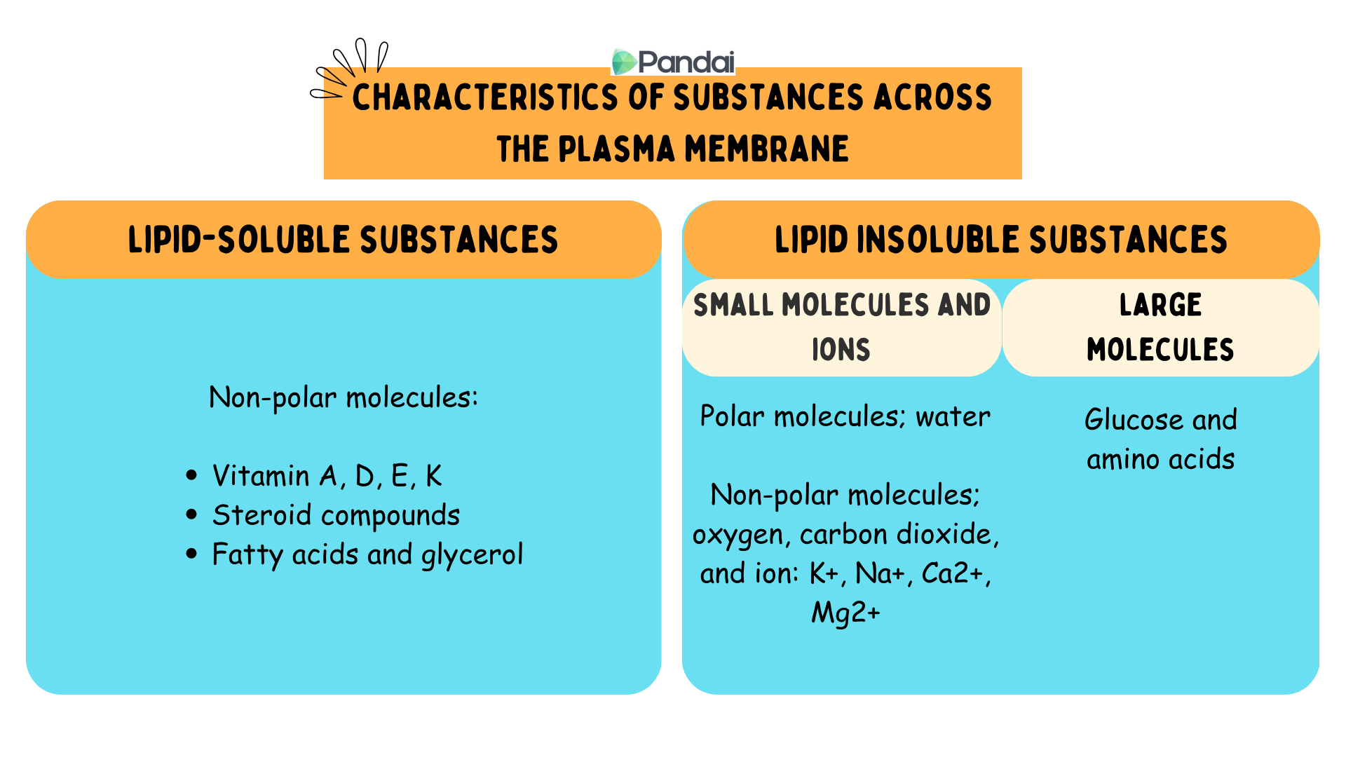 This image is a diagram titled Characteristics of Substances Across the Plasma Membrane. It is divided into two sections: 1. Lipid-Soluble Substances: - Non-polar molecules: - Vitamin A, D, E, K - Steroid compounds - Fatty acids and glycerol 2. Lipid Insoluble Substances: - Small Molecules and Ions: - Polar molecules: water - Non-polar molecules: oxygen, carbon dioxide, and ions like K+, Na+, Ca2+, Mg2+ - Large Molecules: - Glucose and amino acids