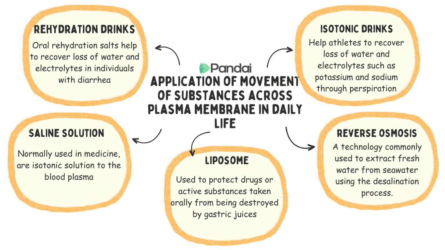 The image is an infographic titled Application of Movement of Substances Across Plasma Membrane in Daily Life. It is divided into five sections, each describing a different application: 1. **Rehydration Drinks**: Oral rehydration salts help to recover the loss of water and electrolytes in individuals with diarrhea. 2. **Isotonic Drinks**: Help athletes to recover the loss of water and electrolytes such as potassium and sodium through perspiration. 3. **Saline Solution**: Normally used in medicine, are isotonic solutions to the blood plasma. 4. **Reverse Osmosis**: A technology commonly used to extract fresh water from seawater using the desalination process. 5. **Liposome**: Used to protect drugs from being destroyed by gastric juices