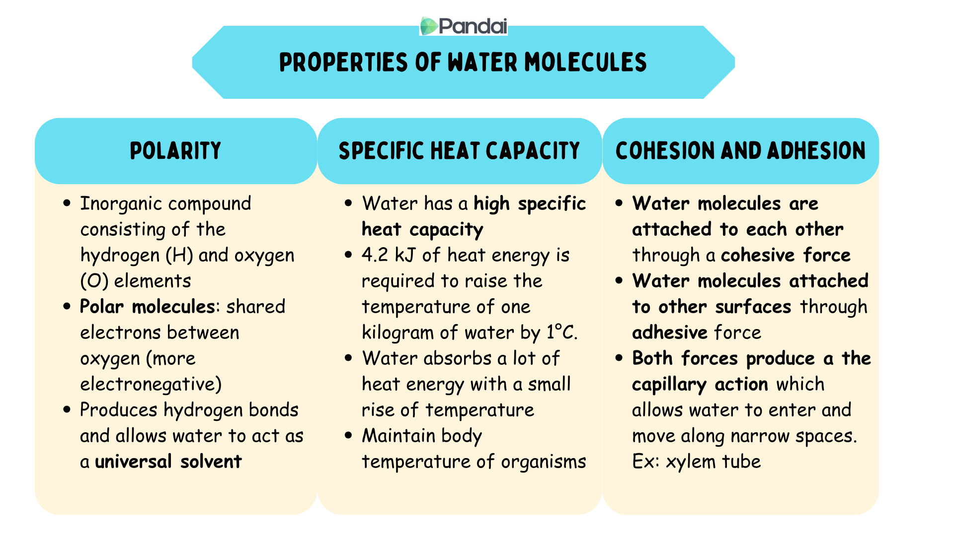 This images showing the properties of water. 1. Polarity - water is polar molecules and this causes water to become universal solvent. 2. specific heat capacity - water has a high specific heat capacity in which water absorbs heat energy with a minimum rise of temperature. This is important to maintain body temperature in organisms. 3. cohesive and adhesive force - these forces helps water to attach to one another and to other surfaces. These forces combined and produces capillary action which is important to help water to move in a narrow space such as xylem tubes.