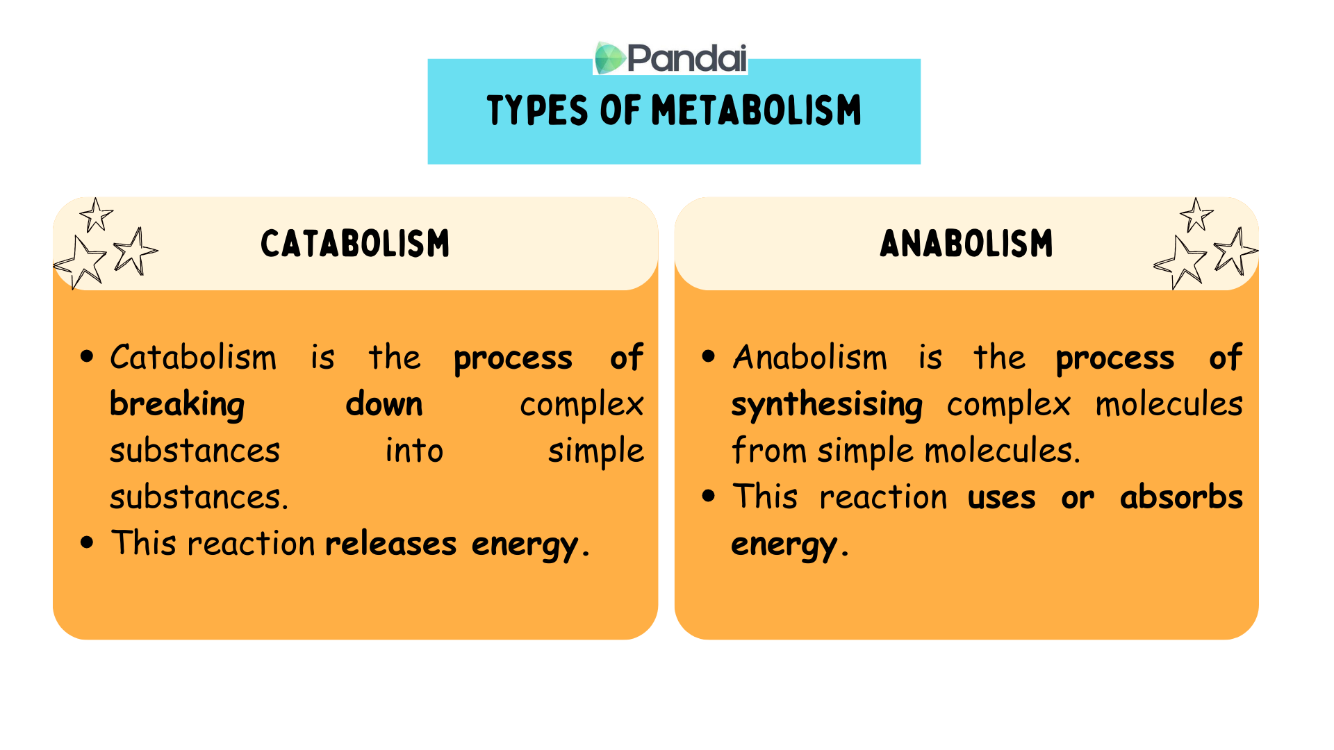 This image is about the types of metabolism. 1. catabolism is the process of breaking down substances from complex forms to simpler substances and this reaction releases energy. 2. anabolism is the process of synthesizing complex molecules from simple molecules and this reaction uses energy.