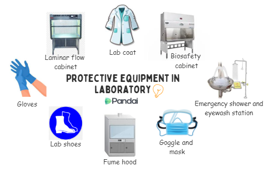 This image depicts various types of protective equipment used in a laboratory. They include: - Laminar flow cabinet, Biosafety cabinet, Fume hood, Emergency eyewash and shower station, Goggle and facemask, Gloves, Lab shoes and Lab coats