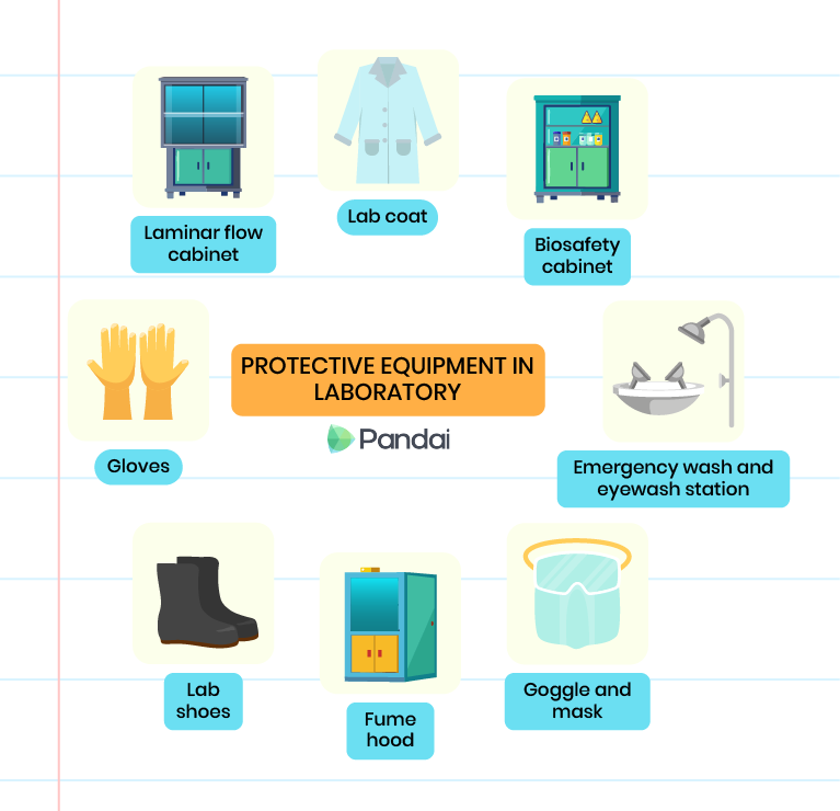 This image depicts various types of protective equipment used in a laboratory. They include: - Laminar flow cabinet, Biosafety cabinet, Fume hood, Emergency eyewash and shower station, Goggle and facemask, Gloves, Lab shoes and Lab coats