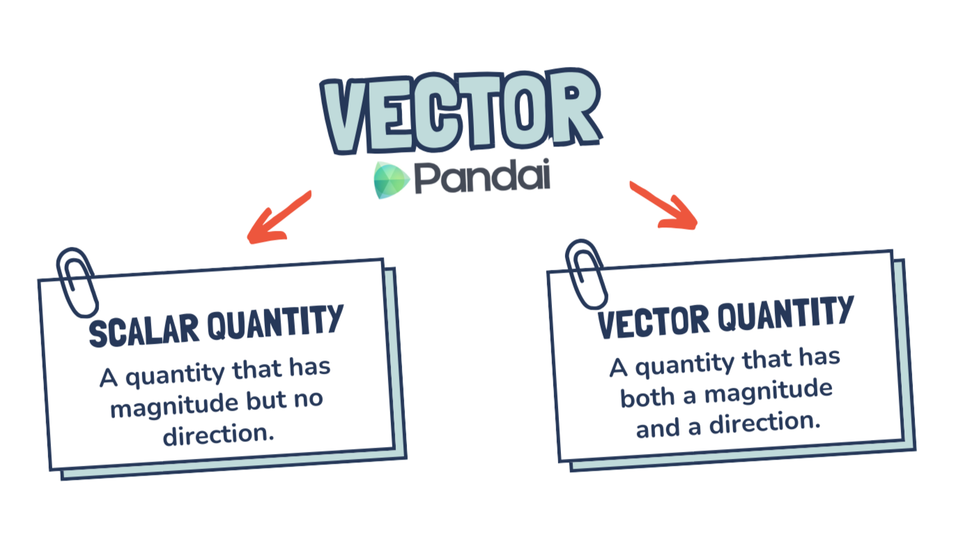 An informative mind map that contrasts scalar and vector quantities, showcasing vector for clarity.