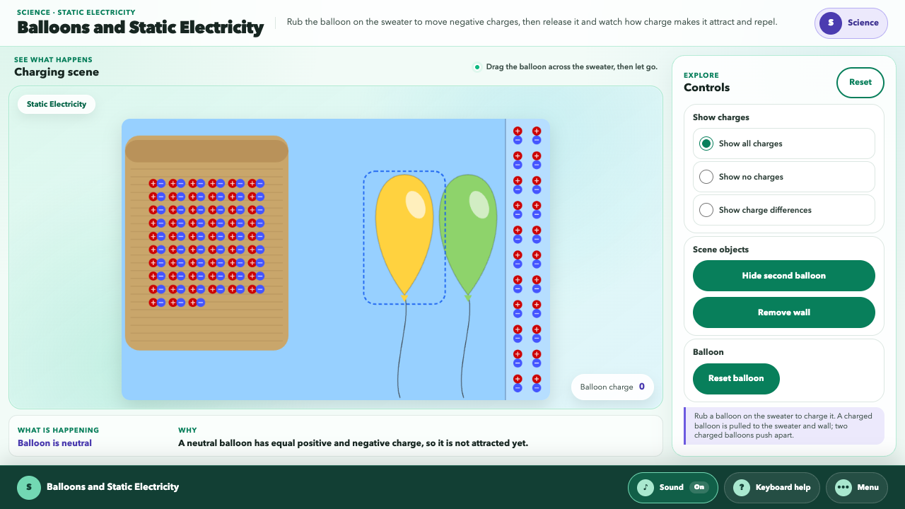 Balloons and Static Electricity