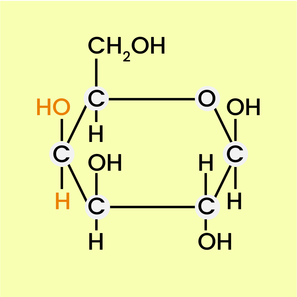 proteins